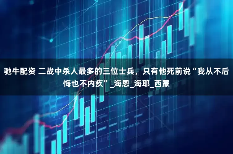 驰牛配资 二战中杀人最多的三位士兵，只有他死前说“我从不后悔也不内疚”_海恩_海耶_西蒙