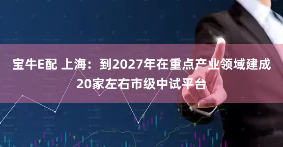 宝牛E配 上海：到2027年在重点产业领域建成20家左右市级中试平台
